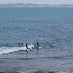 Estrela Mar Barra